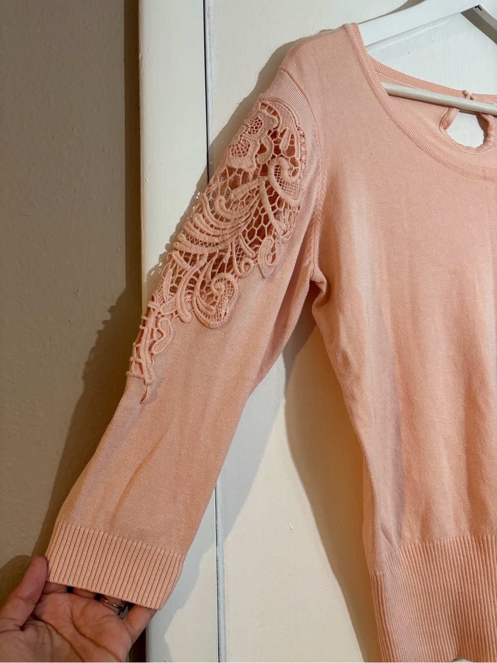 Roz & Ali Blush Lace-Sleeve Scoop Neck Sweater - Picture 3 of 5